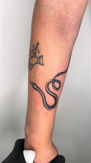 tattoodara on TikTok