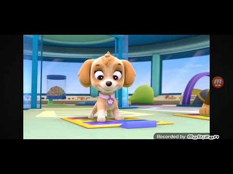 PAW PATROL PUP PUP BOOGIE