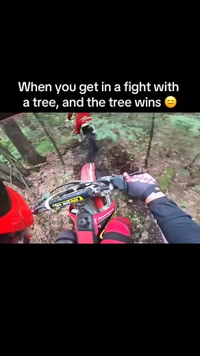 Nasty swamp in the upper peninsula of Michigan #motocross #swamp #hondacr250 #dirtbike #mudding | Matt McHugh