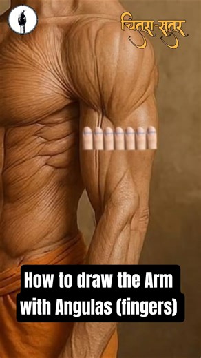 How to draw the Arm with Angulas (fingers) method/ Chitra Sutra book #chitrasutra #drawing #art