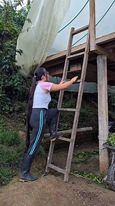 334K views · 8.6K reactions | Este es el proceso del Cacao | Sol Solecito | Facebook