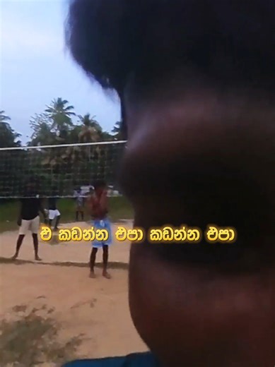 වොලිබෝල් ගහන යාළුවෝට Toffeeක්!