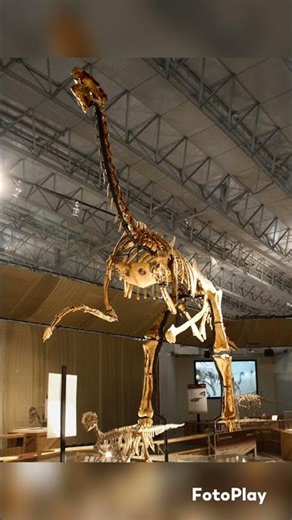 Gigantoraptor - #jurassic #prehistoric #flora #fauna #nature