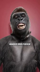 3 comments | Tim Thompson on Reels | Facebook