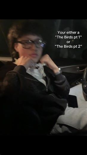 #thebirds #theweeknd #music #fyp #playlist#relateable #viral | the bird part one