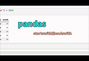 pandas之startswith和endswith用法