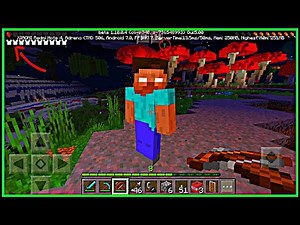 EN BUSCA de COSAS PARANORMALES en MINECRAFT / HEROBRINE Y NULL (1 HORA) *NOSTALGIA*