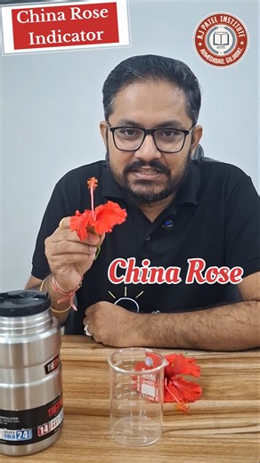 "How to Make China Rose 🌹 Indicator at Home 🧪 #ScienceExperiment #science #diy #experiment