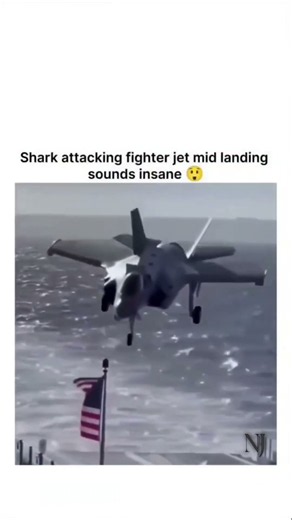 🦈 When a Shark Attacks a Fighter Jet?! 😱✈️ | Physics Behind This Crazy Moment! #physics #Shark