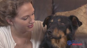 Pet Poison Helpline is a 24/7 animal poison control service available for pet owners and veterinary professionals who require assistance with treating a potentially poisoned pet. We are available throughout the U.S., Canada, and the Caribbean, and have the ability to help every poisoned pet, with all types of poisonings, 24 hours a day | Pet Poison Helpline