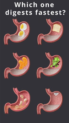 Foods That Digest Fast #digestion#nutrition#healthfacts