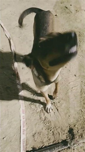 Aunty ji namste aap wahi ho naaa jo video 😂😂😂😂😂