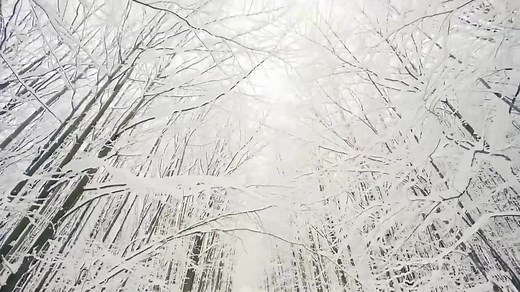 冬日仙境，美丽的雪景，壮丽的冰雪世界，高清风景素材。