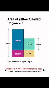 Area of yellow Rectangle Shaded Portion #area #perimeter #shadedarea #mritunjaylectures #grade10students #maths #tgtpgt #PGT #grade8 #Grade9Students | Mritunjay Lectures