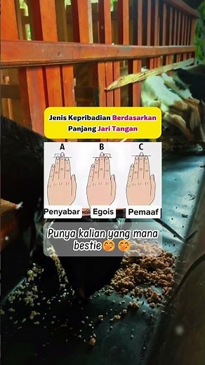 jenis kepribadian berdasarkan panjang jari tangan