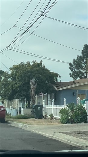 Swan-Canyon. Maple &Roseview Pl. City Heights San Diego California. #sandiego #california | Torres Yanc