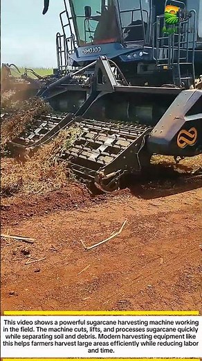 Sugarcane Harvesting Machine | High Efficiency Modern Farming Technology