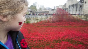 Poppy display wins the hearts of millions