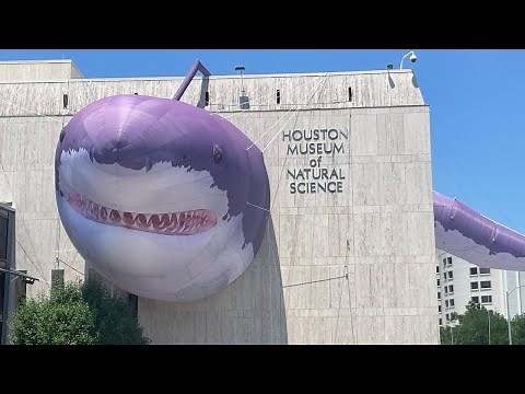 Houston Museum of Natural Science - Dinosaurs, Mummies, Stones, and Taxidermy @houstonmuseum