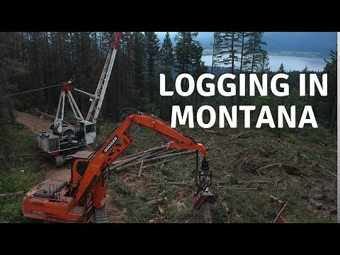 Logging in Montana