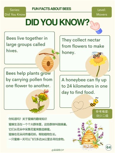【科普+英语】64.🐝Fun Facts About Bees