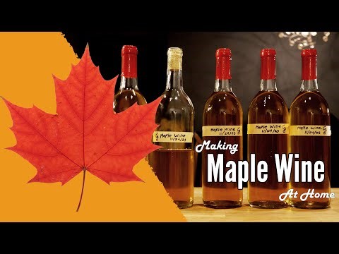 Make Your Own Maple Wine (It's Super Easy!)