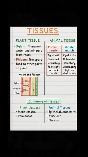 what Is tissue and types #tissues #muscle #anatomyandphysiology #viralthis #millionviews