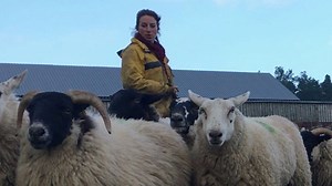 Shepherdess Emma Gray to represent England in sheepdog trials