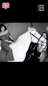 Studio 54 en NY, símbolo de la era de la música disco. Un lugar de encuentro para muchas celebridades del cine, la música, la moda y el arte. La leyenda dura (mucho) más que su apogeo. Fueron 33 meses en los que un club nocturno se convirtió en el centro de Nueva York. Studio 54 nacido de la ambición de dos jóvenes, transformó las noches de la gran ciudad y generó una leyenda que perdura más de cuatro décadas después de su clausura. En la pista de baile podías encontrar a Michael Jackson o a una