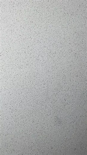 The Feed Scroll no TikTok