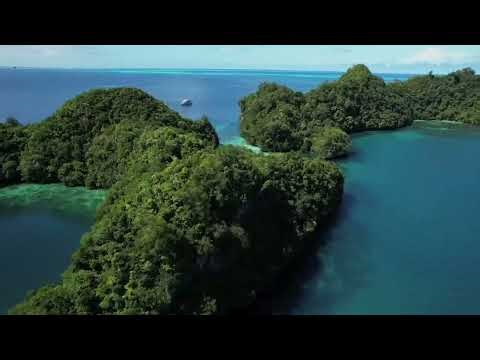 BBS Liveaboards/ Diving Vessels