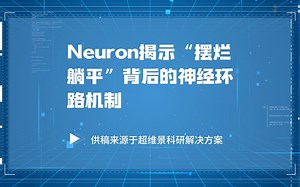 【前沿快讯】Neuron揭示“摆烂躺平”背后的神经环路机制