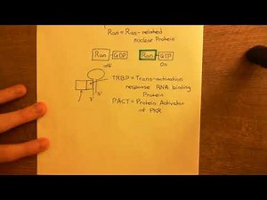 Short hairpin RNA (ShRNA) Part 2