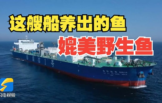 来看全球首艘10万吨级智慧养殖工船“国信1号” 的独家本领