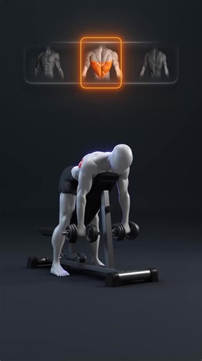 🔥 Chest Supported Rows: Build a Complete Back Chest supported row variations are one of the best ways to build a strong, balanced back without using momentum. By supporting your chest, the work shifts directly to the lats, upper-mid back, rear delts, and upper traps. Different grips and angles allow you to emphasize thickness, detail, or overall back control. Focus on strict form, controlled reps, and a strong squeeze at the top instead of chasing heavy weight. 👉 3–4 sets · 8–15 reps Rotate va