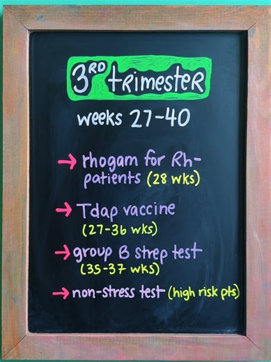 Nursing School: Prenatal Care for Each Pregnancy Trimester