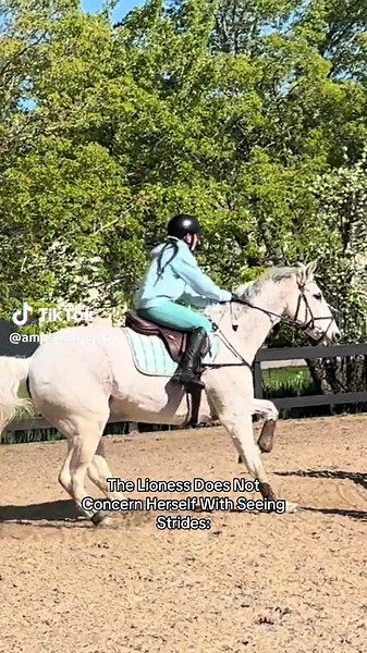 Understanding Equestrian Challenges in Showjumping