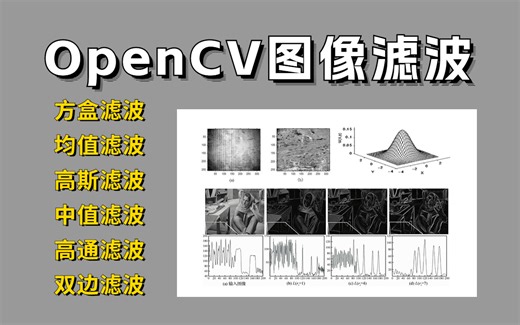我居然只用了三个小时就把【OpenCV图像滤波】学明白了！上交大博士带你深挖五大滤波与Canny边缘检测，快速啃透！简直不要太强！！！