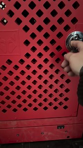 70K views · 2.7K reactions | Late breakfast.. finally ok to release the kraken for playtime 﫣 | Ten Shakes of Grace | Facebook