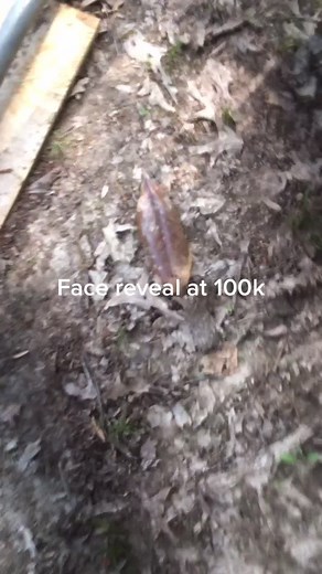 Techy and Strawbys (@.techy.and.strawbys)’s videos with Big Gangsta - Kevin Gates