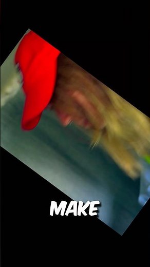 Post Malone Used This Sound 😜 #MrBeast #Viral #Comedy
