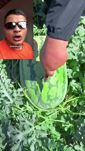 Ib: @Jekytallo part 1 #videosatisfatorio #historias #fofoca #capcut #hashtag