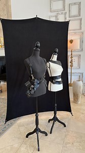 428 reactions · 44 comments | I just customized my @spiderholster no...