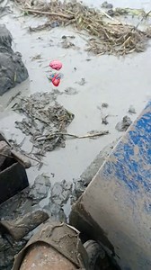 Agradecido con Dios por esta profesión 💯🚜🙏 | Maquinaria agrícola