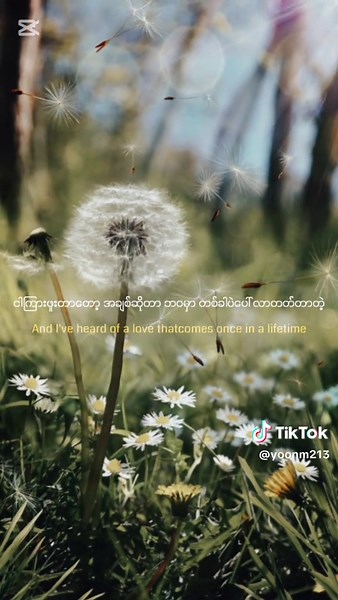 Dandelions: A Beautiful English Song with Lyrics