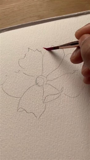 1.7K views · 2.9K reactions | Paint a cosmos with me. . Watercolour classes, Brushes & Paper: KanchanKaul.com #shinhanart #watercolors #botanicalartlovers #aquarelle #Watercolorflower #watercolor_Painting #sketchbooktour #acuarela #flowerpainting #watercolorbeginner #watercolorsketchbook #worldwatercolormonth #botanicalpainting #kanchankaulbrushes #watercolorpainting #kanchankaulbrushes | Kanchan Kaul | Facebook