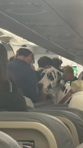 6.1M views · 120K reactions | This is Horus. He got a lot of...