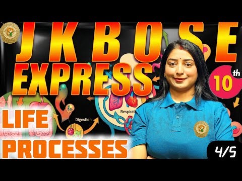 JKBOSE| BIOLOGY| 10| LIFE PROCESSES| ALIMENTARY CANAL |4/5 #cbse #jammu #jkbose #india #reasi