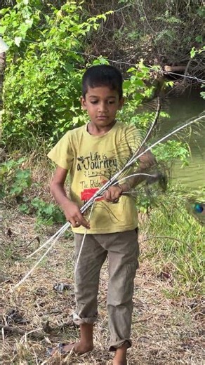 Toddler Finds a Magical Peacock Feather! 🦚✨Cute Boy Collecting Beautiful Peacock Feathers 😍