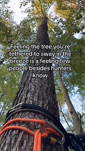 Saddle hunting🏹 . #bowhuntbros #bowhunt #bowhunting #bowhunter #archery #usa #outdoors ( Via: @icecoltoutdoors ) | 𝗕𝗼𝘄𝗛𝘂𝗻𝘁𝗕𝗿𝗼𝘀